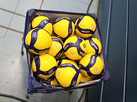 Volleybälle